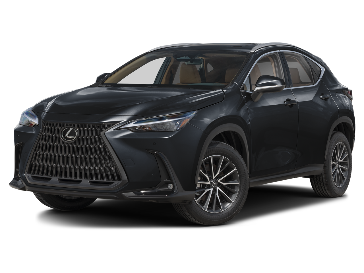 2025 Lexus NX 250 Premium