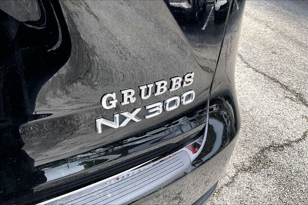 2021 Lexus NX 300 F Sport