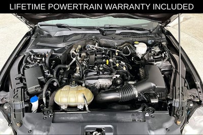 2023 Ford Mustang EcoBoost