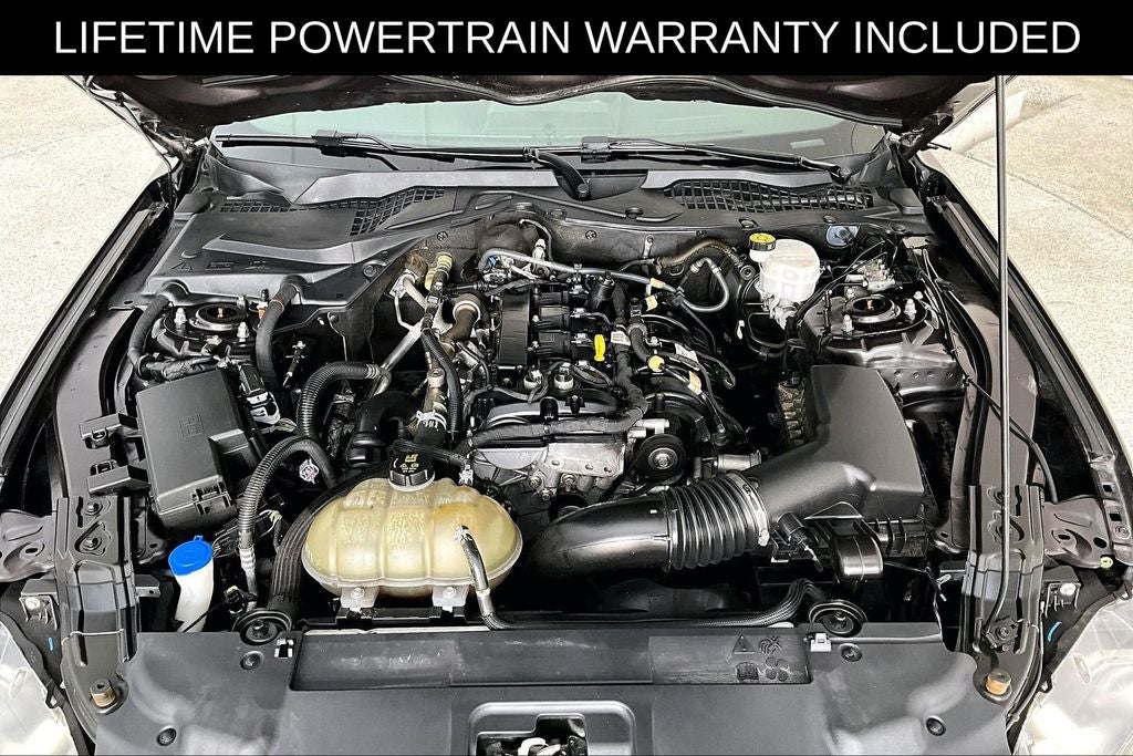 2023 Ford Mustang EcoBoost
