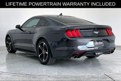 2023 Ford Mustang EcoBoost