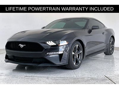 2023 Ford Mustang EcoBoost