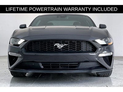 2023 Ford Mustang EcoBoost
