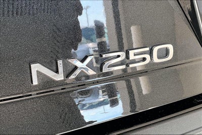 2025 Lexus NX 250 Premium