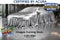 2024 Acura RDX A-Spec Package SH-AWD