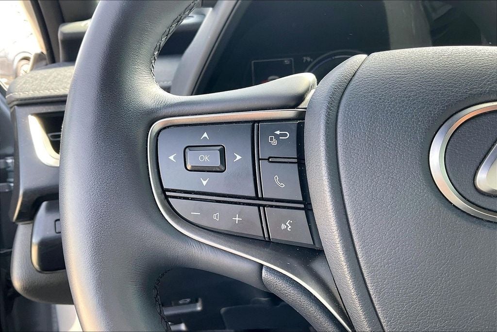 2023 Lexus UX 250h Premium