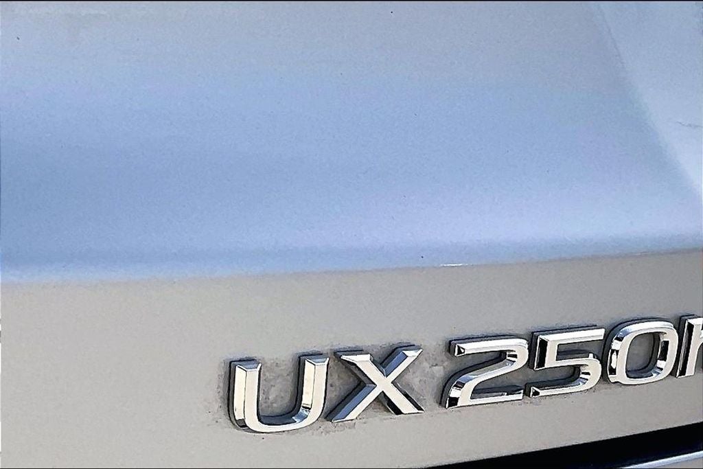 2023 Lexus UX 250h Premium