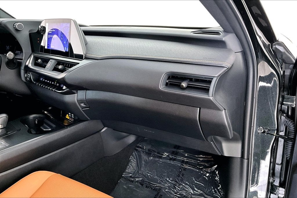2025 Lexus UX 300h Premium