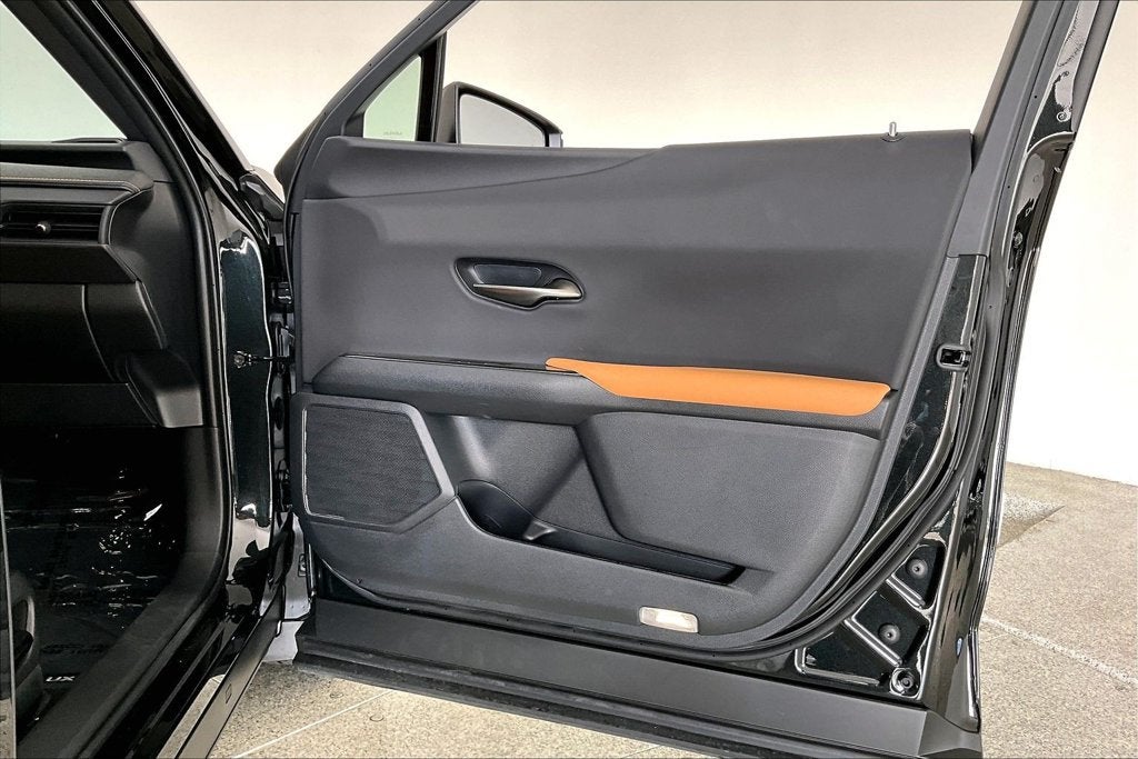 2025 Lexus UX 300h Premium