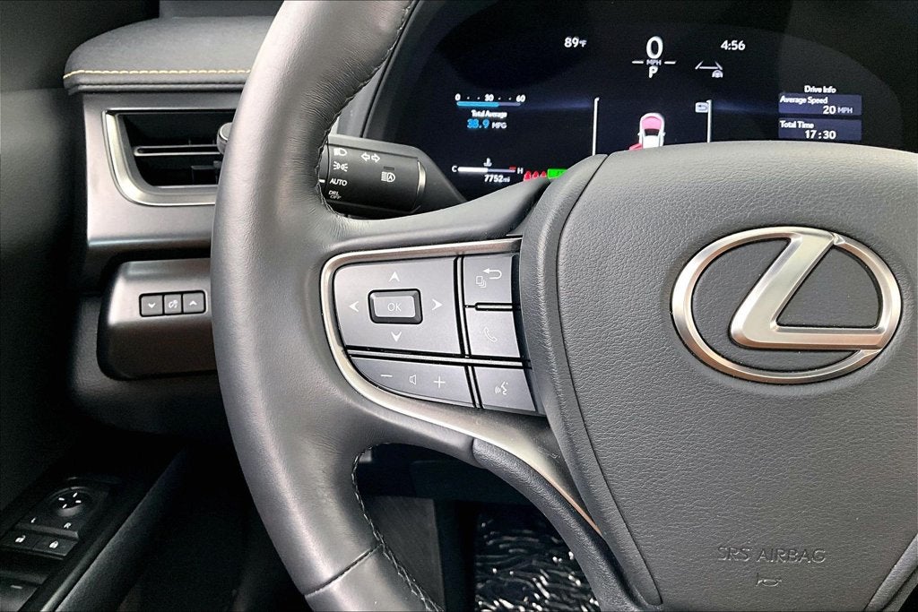 2025 Lexus UX 300h Premium