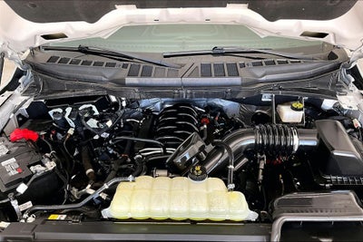 2024 Ford F-150 XLT 4WD