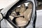 2024 Mercedes-Benz S-Class S 580 4MATIC®