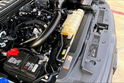 2024 Ford Expedition Timberline