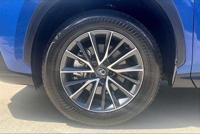 2025 Lexus NX 250 Base