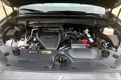 2025 Lexus TX 350 Premium