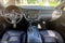 2020 Volvo S60 T5 Momentum