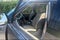 2021 INFINITI QX80 Premium Select