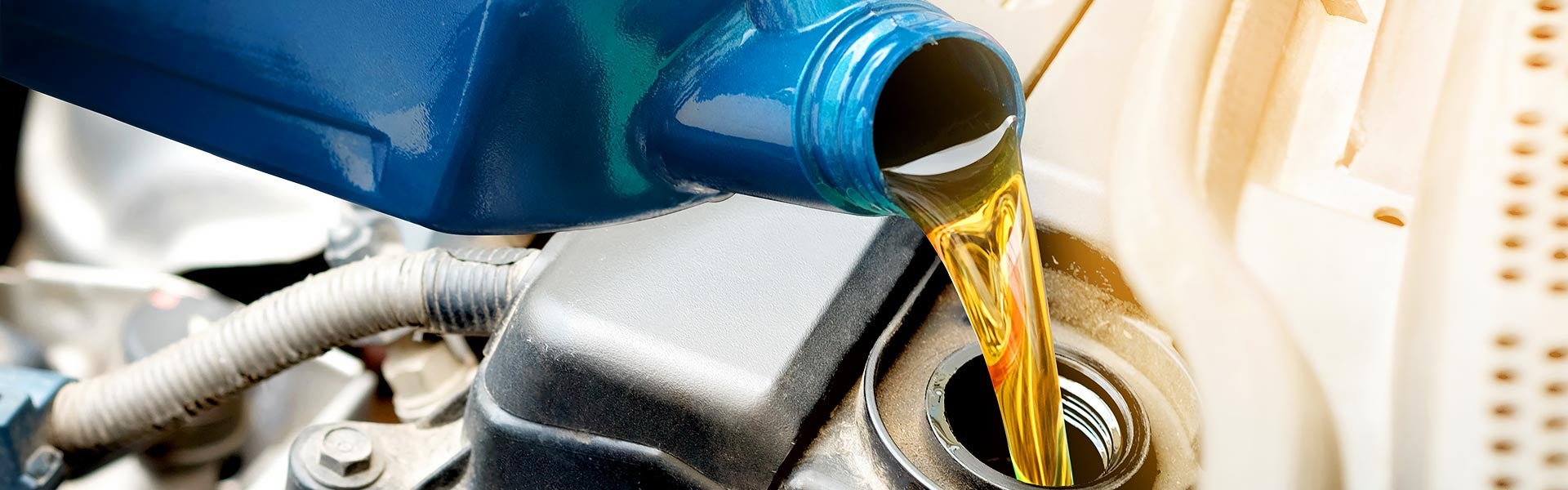 Oil and Filter Change